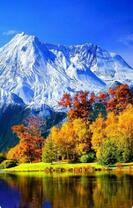 Без бренда «Осенний лес и вид на горы» в Новосибирске 