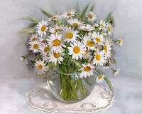 Без бренда «2KMA-0021» в Новосибирске 