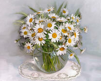 Без бренда «2KMA-0021» в Новосибирске 