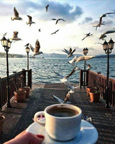 Без бренда «Кофе с видом на чаек» в Новосибирске 