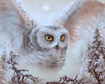 Без бренда «2KMB-3848» в Новосибирске 