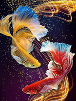 Без бренда «Желтая и красная рыбки» в Новосибирске 