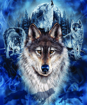 Без бренда «2KXSB-0687» в Новосибирске 