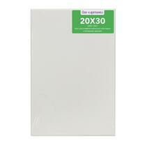 Без бренда «Коробка 80 шт.: Холст Две картинки на подрамнике 20X30» в Новосибирске 