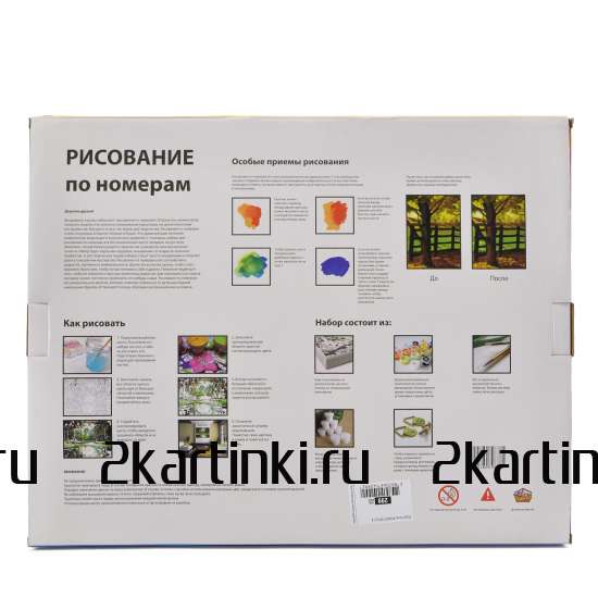 Картина 30x40 WB8023 Девушка с розовой розой на голове за 410 руб. в интернет-магазине в Новосибирске Картина 30x40 Девушка с розовой розой на голове