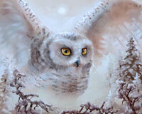 Без бренда «Полярная сова над лесом (20шт)» в Новосибирске 