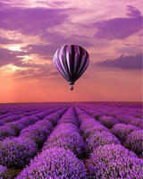 Без бренда «Фиолетовый воздушный шар над фиолетовым лавандовым полем (20шт)» в Новосибирске 