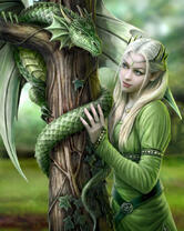 Без бренда «Коробка 20 шт: Дракон и эльф» в Новосибирске 