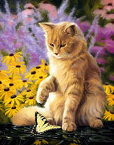 Без бренда «Рыжий котик играет с желтой бабочкой» в Новосибирске 