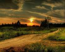 Без бренда «Проселочная дорога на закате» в Новосибирске 