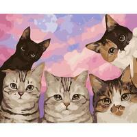 Без бренда «Такие разные котики» в Новосибирске 