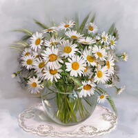 Без бренда «Букет свежих ромашек» в Новосибирске  в интернет-магазине  в Новосибирске Без бренда «Букет свежих ромашек» в Новосибирске