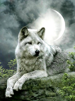 Без бренда «Коробка 25 шт. картин по номерам BOX25-GX21058» в Новосибирске 