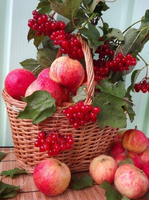 Без бренда «Коробка 25 шт. картин по номерам BOX25-GX5174» в Новосибирске 