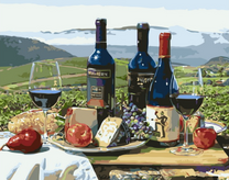 Несколько бутылок марочного вина и фрукты