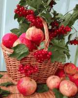 Без бренда «Плетёная корзина с калиной и яблоками» в Новосибирске 