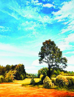 Без бренда «Осенний пейзаж с голубым небом» в Новосибирске  в интернет-магазине  в Новосибирске Без бренда «Осенний пейзаж с голубым небом» в Новосибирске