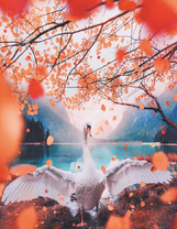 Красивый белый лебедь у горного озера