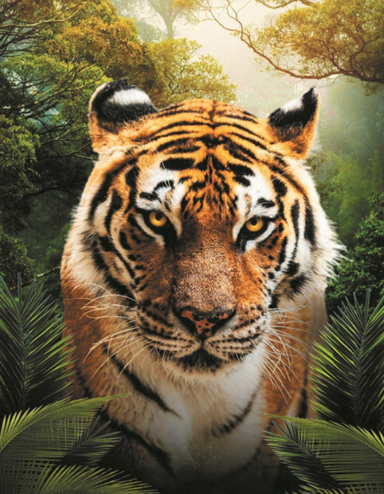Алмазная мозаика 40x50 Тигр в густом лесу