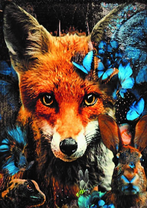 Без бренда «Лиса и синие бабочки» в Новосибирске 