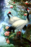 Без бренда «Коробка 25 шт. картин по номерам BOX25-GX29399» в Новосибирске  в интернет-магазине  в Новосибирске Без бренда «Коробка 25 шт. картин по номерам BOX25-GX29399» в Новосибирске