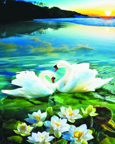 Белые лебеди в затоке среди цветов