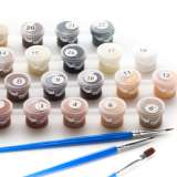 Картина по номерам 40x50 Test4 за 0 руб. в интернет-магазине в Новосибирске Картина по номерам 40x50 Test4