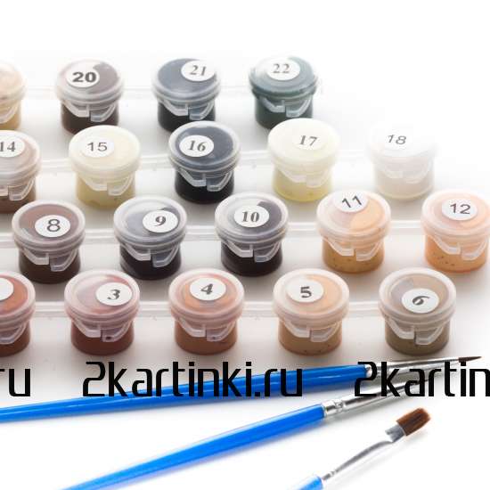 Картина по номерам 40x50 Test4 за 0 руб. в интернет-магазине в Новосибирске Картина по номерам 40x50 Test4