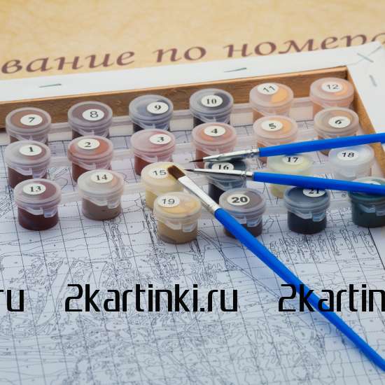 Картина по номерам 40x50 Q5182 Обнаженная девушка и череп за 1050 руб. в интернет-магазине в Новосибирске Картина по номерам 40x50 Обнаженная девушка и череп