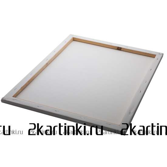 Картина по номерам 40x50 GX8999 Лев в стиле поп-арт за 995 руб. в интернет-магазине в Новосибирске Картина по номерам 40x50 Лев в стиле поп-арт