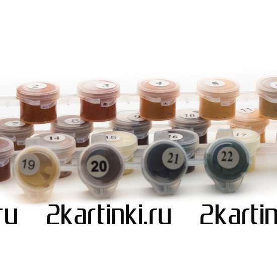 Картина по номерам 40x50 Test4 за 0 руб. в интернет-магазине в Новосибирске Картина по номерам 40x50 Test4