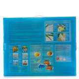 Картина по номерам 40x50 Q5182 Обнаженная девушка и череп за 1050 руб. в интернет-магазине в Новосибирске Картина по номерам 40x50 Обнаженная девушка и череп