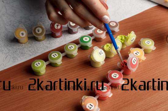 Картина по номерам 40x50 GX8999 Лев в стиле поп-арт за 995 руб. в интернет-магазине в Новосибирске Картина по номерам 40x50 Лев в стиле поп-арт