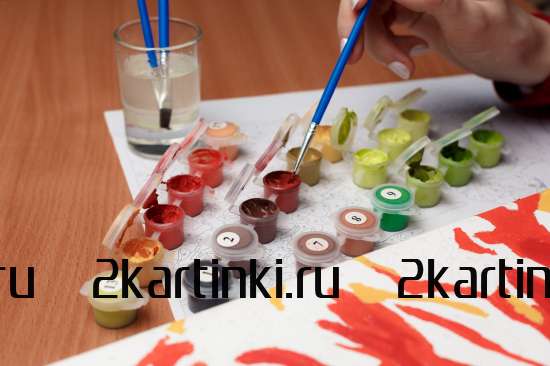 Картина по номерам 40x50 Test4 за 0 руб. в интернет-магазине в Новосибирске Картина по номерам 40x50 Test4