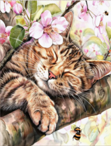 Без бренда «Волосатый котик спит на ветви яблони» в Новосибирске 